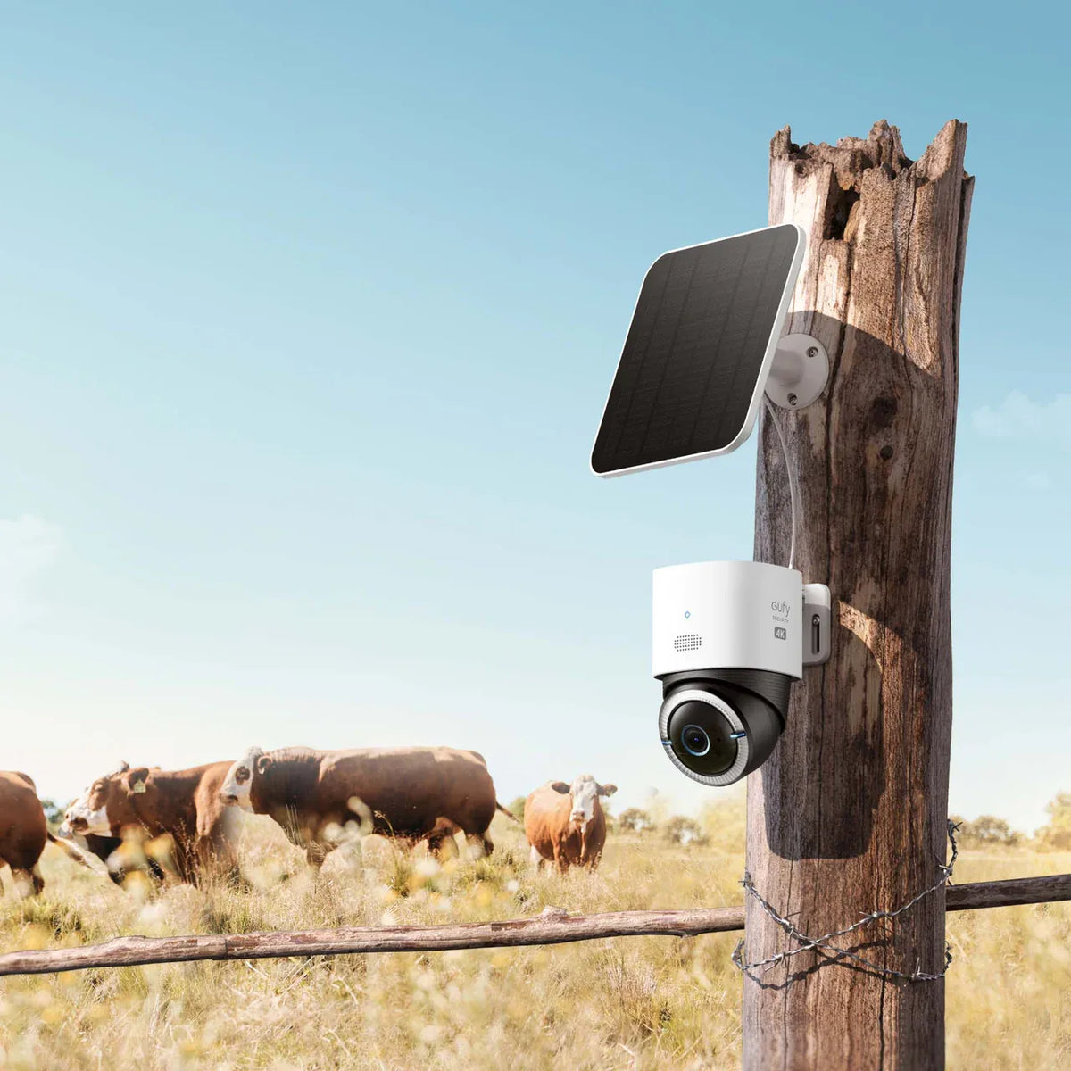 Camera and solar panel mounted beside a pasture